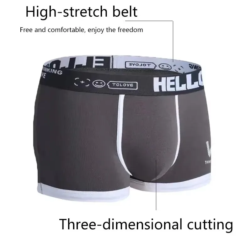 남성 속옷 코튼 속옷 편지 허리띠 편안한 통기성 부드러 - Boxer Brief Pack Cotton 리뷰 및 가격
