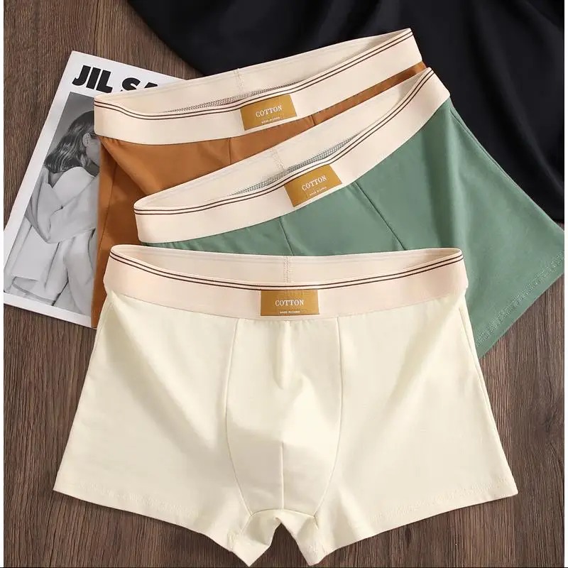 남성용 옴브레 팬티 복서 반바지, 편안한 통기성 면 속 - Boxer Brief Pack Cotton 리뷰 및 가격