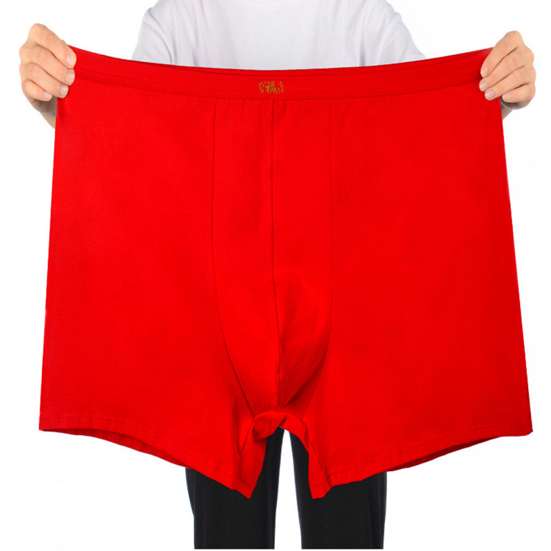남성용 순면 속옷, 오버사이즈 복서, 하이 웨이스트,  - Boxer Brief Pack Cotton 리뷰 및 가격